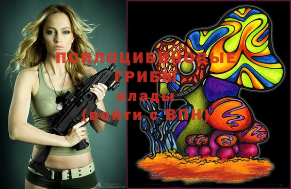марки lsd Вяземский
