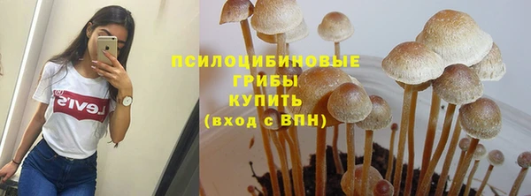 соль ск Вязьма