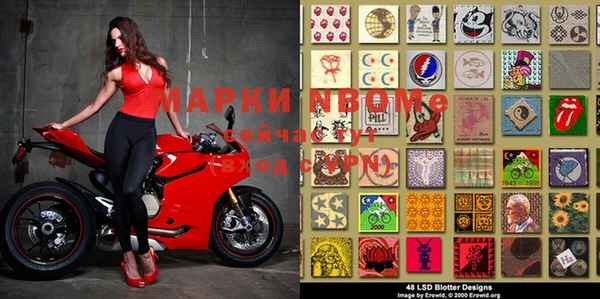 гашик Вязники