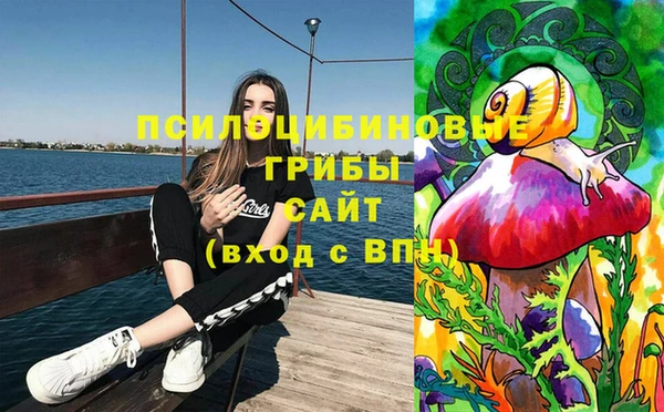 соль ск Вязьма