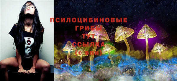 гашик Вязники