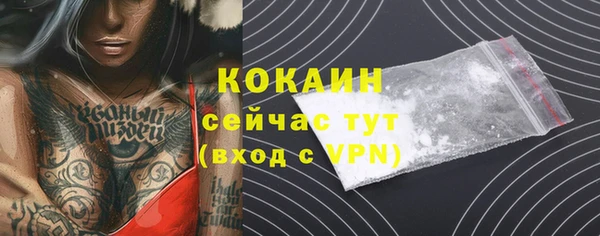 гашик Вязники