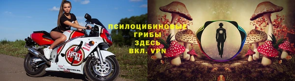 марки lsd Вяземский