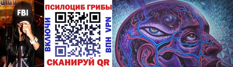 Псилоцибиновые грибы ЛСД  где продают   Нижний Тагил 